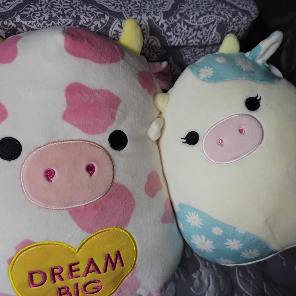 COW-A-BUNDLE 2 Squishee's 12" & 8" Cows Evangelica And Belana